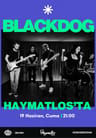 Black Dog