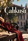 Çalıkuşu