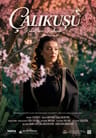 Çalıkuşu - Kanatların Kalbinde