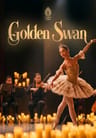 Candles and Echoes: Golden Swan