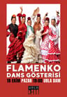 Flamenko Dans Gösterisi