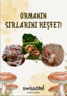 FungiTurkey ile Uludağ'da Mantar Avı
