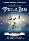 Peter Pan On Ice