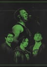 Silverback Metallica Tribute