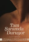 Tam Şuramda Duruyor