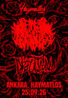 Vaginal Rupture DISSOCATION