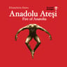 Anadolu Gösteri Eğitim  logosu