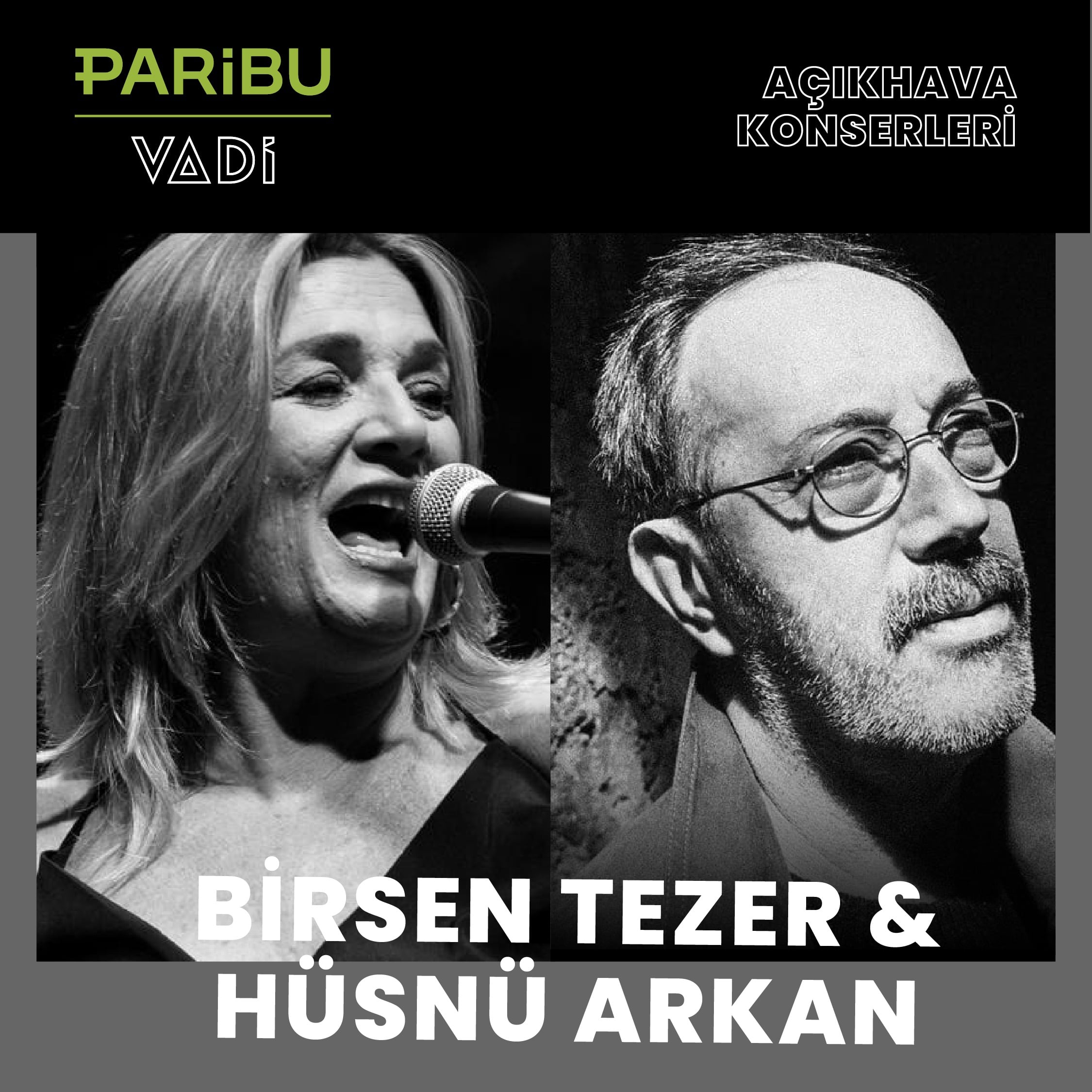 Birsen Tezer & Hüsnü Arkan küçük resim
