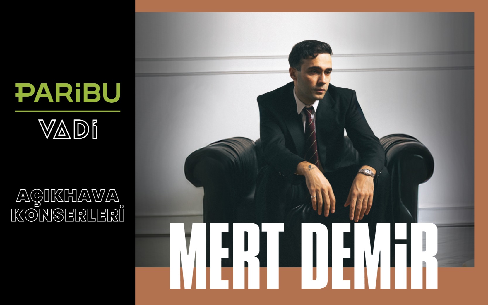 Mert Demir