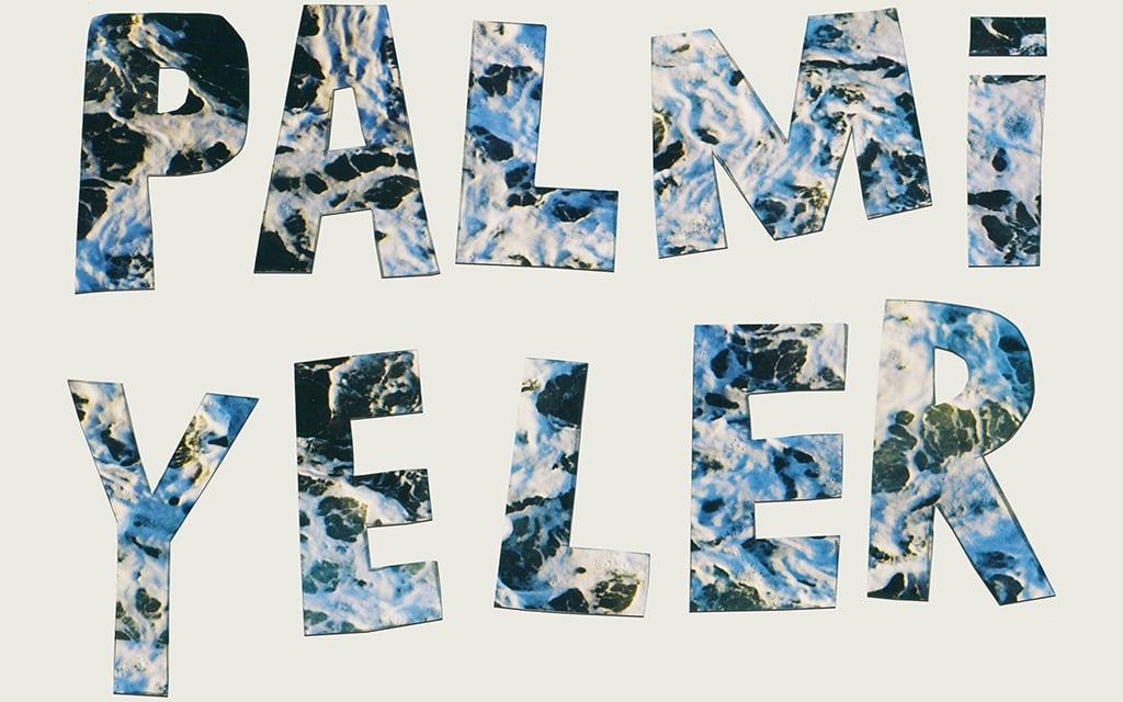 Palmiyeler