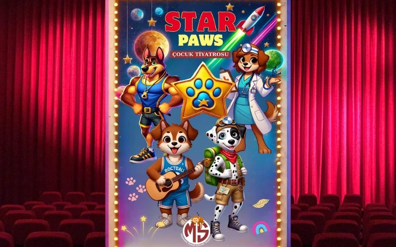 Star Paws Çocuk Oyunu