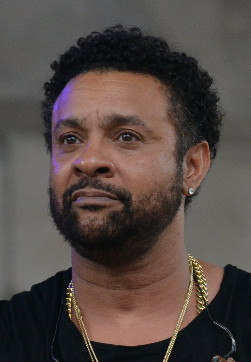 Shaggy sanatçı fotoğrafı
